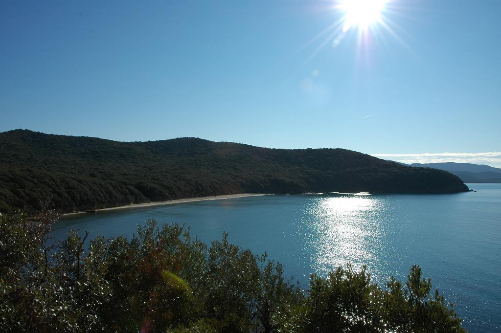 Agriturismo Le Piane Del Milia Suvereto Exteriör bild