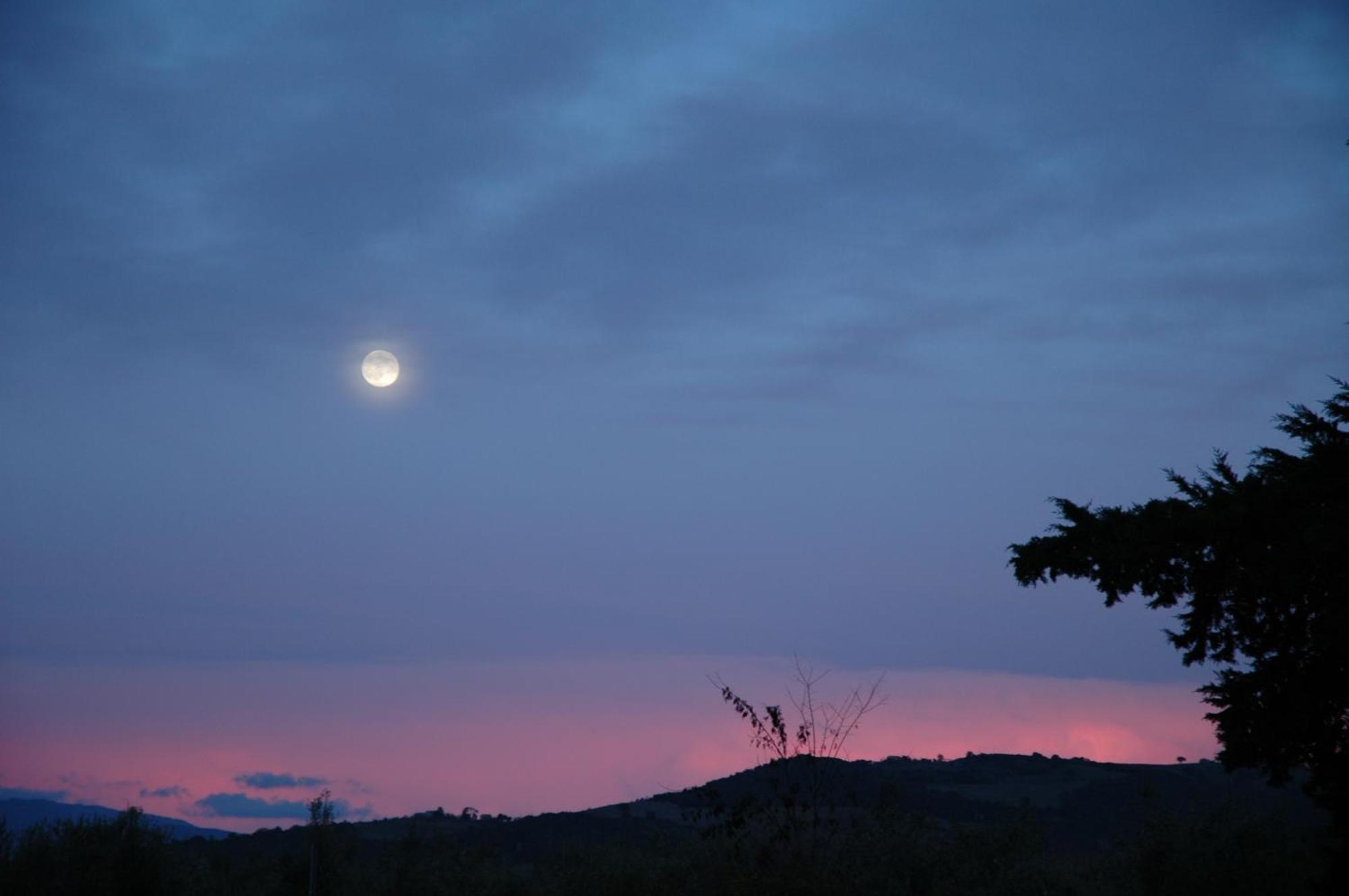 Agriturismo Le Piane Del Milia Suvereto Exteriör bild
