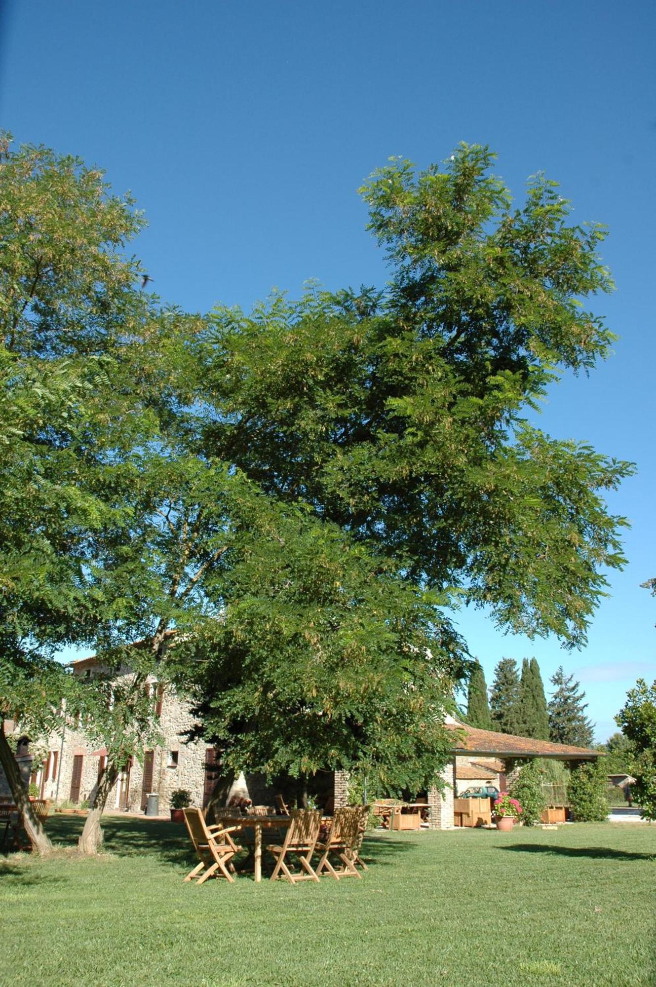 Agriturismo Le Piane Del Milia Suvereto Exteriör bild